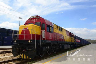 昆明至沈陽云南特產集裝箱特需班列首發