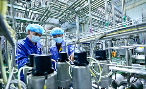 用新質(zhì)生產(chǎn)力破解乳業(yè)困局 甘肅前進集團傳祁甘味乳業(yè)新型乳制品走俏市場