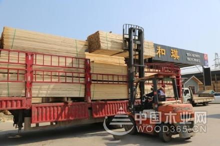 青白江國際木材交易中心 復工滿產(chǎn) 供需兩旺