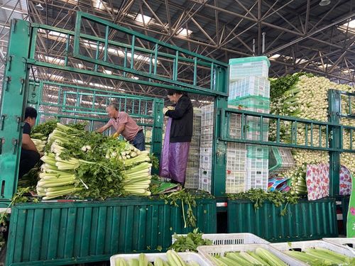 菜價波動后逐漸回落,如何拎穩 菜籃子